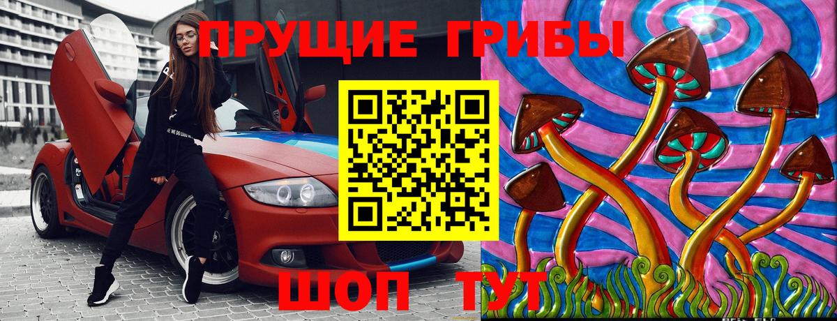 Псилоцибиновые грибы мицелий  Вход с VPN  Елизово 